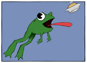Frog and pie
