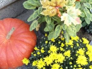 Photo by Vicky Lorencen