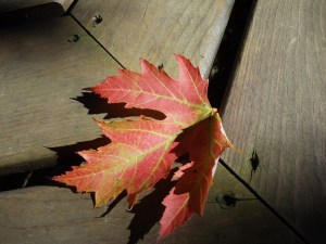 Photo by Vicky Lorencen