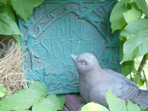 Photo by Vicky Lorencen