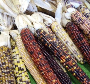 Photo by Vicky Lorencen