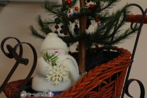 Merry Reading from Frog on a Dime! Photo by Vicky Lorencen