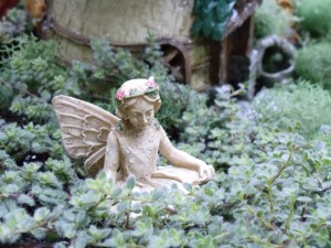 Photo by Vicky Lorencen