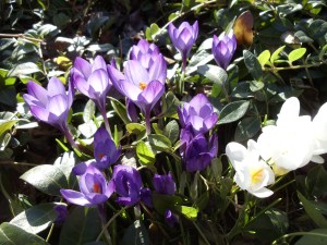 Photo by Vicky Lorencen