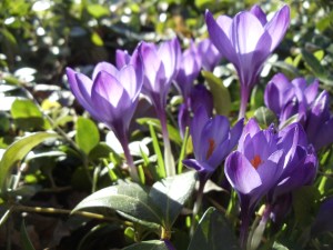 Photo by Vicky Lorencen