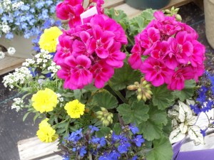 Photo by Vicky Lorencen