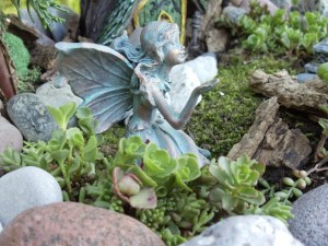 Photo by Vicky Lorencen