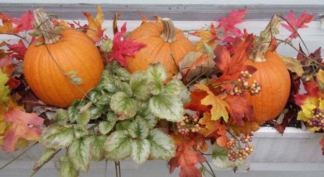 Photo and window box by Vicky Lorencen