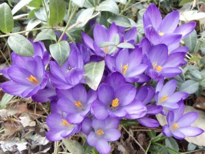 Photo by Vicky Lorencen