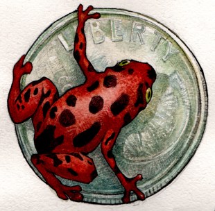 frog on a dime color RED 1a